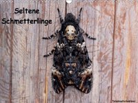Seltene Schmetterlinge